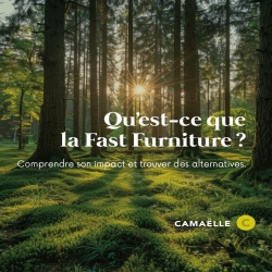 Vous avez déjà entendu parler de la fast fashion, cette mode éphémère qui nous pousse à acheter toujours plus ? Eh bien, le phénomène est similaire avec les meubles et s’appelle : la fast furniture.
Mais ce cycle effréné a un coût : une production excessive de déchets et une dégradation environnementale considérable. 🛠️💔

Dans ce contexte, CAMAËLLE se positionne comme un acteur clé dans la rénovation de mobilier avec une créativité responsable.
Nous donnons une seconde vie à vos meubles en les rénovant avec des techniques modernes et des peintures biosourcées. À travers nos ateliers professionnels, @formaelle_formation, vous apprendrez l’art du relooking, ce qui vous permettra de limiter les achats impulsifs et de participer activement à la protection de l’environnement. 🌿✨

Pour comprendre les effets de la fast furniture et découvrir des solutions pour changer cette tendance, consultez notre nouvel article de blog ! 👇🏻

👉🏻 [https://blog.camaelle.com/la-fast-furniture-comprendre-son-impact-et-trouver-des-alternatives/ ] 👈🏻