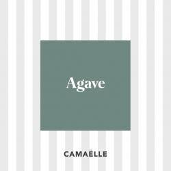 Zoom sur notre teinte Agave qui fait partie de notre collection permanente de 200 couleurs, Agave est le coloris qui réveillera votre intérieur et y fera entrer la nature.
Relookage de ces 2 chevets @‌ladecodaurelia

/ Teinte Agave - Camaëlle /

#peinture #CouleursAuthentiques #peintureécologique#gestepourlaplanète#peinturenaturelle #écologique#couleurs #decoration #bureauenfant#maisonresponsable#intérieursain #rentrée #Camaëlle #camaelle #agave #teinteagave #upcycling #tablesdechevetbois #meublerelooke#decoratricedinterieur #decochambre #meubleancien#relookingdemeuble