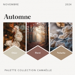 Notre palette d’automne issue des teintes de notre collection, la nature nous inspire des couleurs subtiles et naturelles pour vous créer un intérieur serein et ressourçant.

/ Teinte Osier - Camaëlle /
/ Teinte Pavot - Camaëlle /
/ Teinte Noisette - Camaëlle /

#deco #designinspiration #paint #colour #style #color#autumn #nuancier #camaieu #PeintureNaturelle#peinturesbiosourcées #CouleursAuthentiques#peintureécologique #maisonresponsable #intérieursain#Camaëlle #camaelle